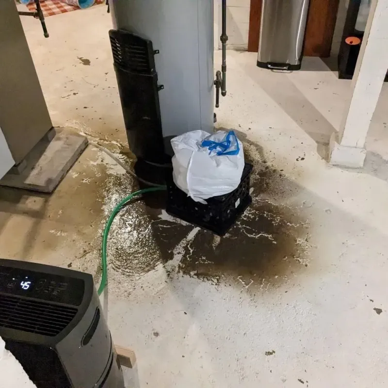 Sewage Backup Cleanup Service in Cusseta, GA
